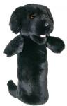 Black Labrador - click to enlarge