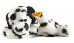 Lupi Dalmation - click to enlarge