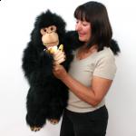 Chimp - click to enlarge