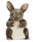 Rabbit - click to enlarge