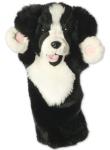 Border Collie - click to enlarge