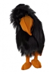 Crow - click to enlarge