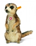 Mungo Meerkat - click to enlarge