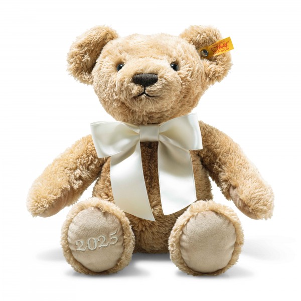 Cosy Bear 2025