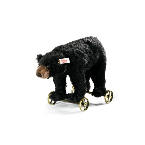 Black Bear on Wheels