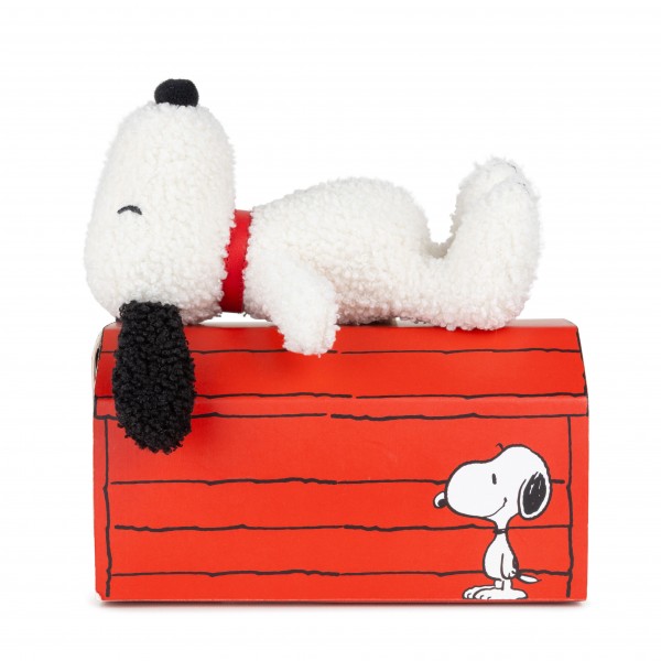 Snoopy - ECO in Gift Box