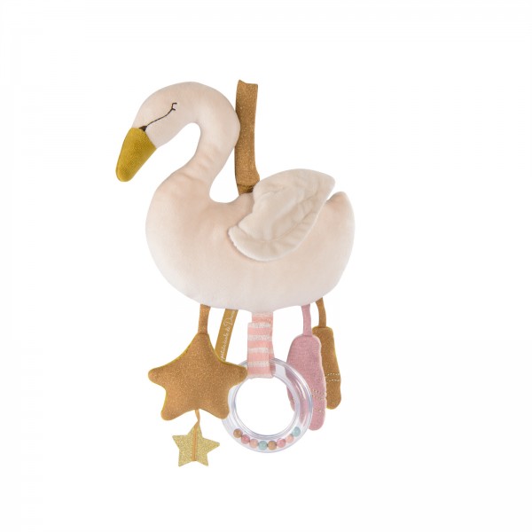 Activity Swan