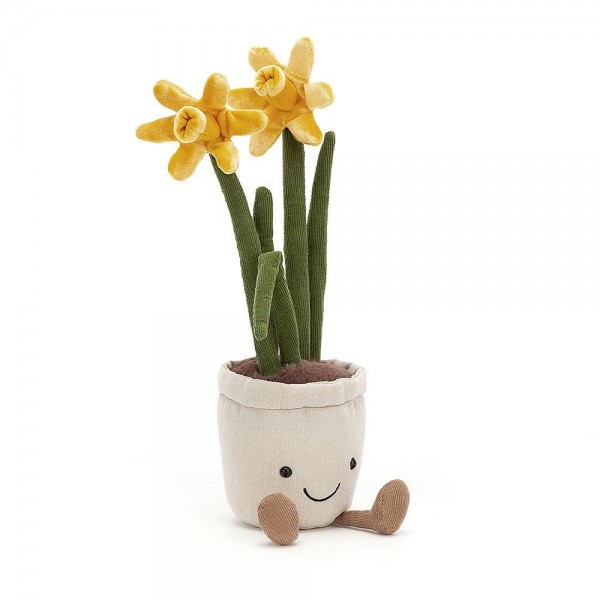 Amuseable - Daffodil
