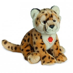 Cheetah