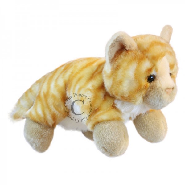 Full Bodied Puppet - Ginger Cat