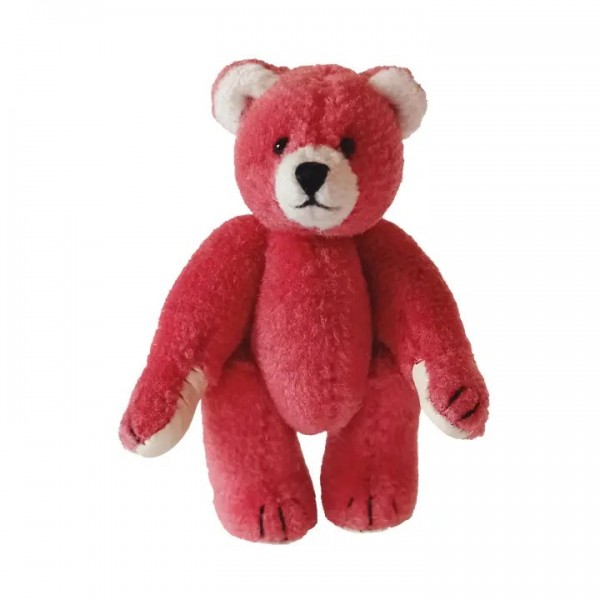 Miniature Teddy - Lychee