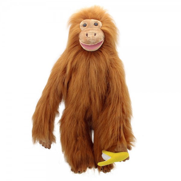 Large Primate - Orangutan