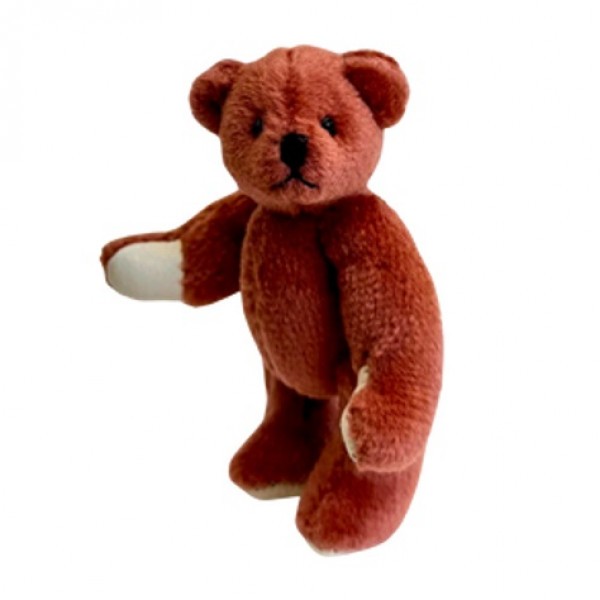 Miniature Teddy - Coral Red